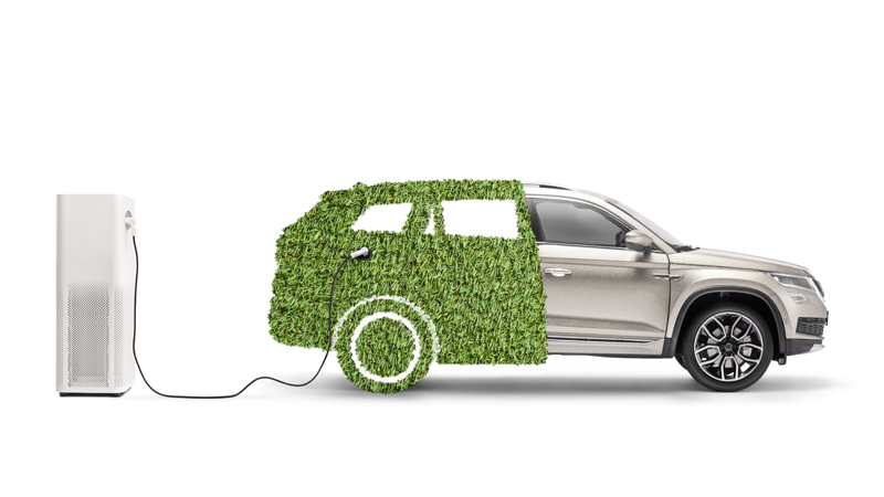 Ecobonus 2024, auto green